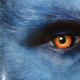 Illustration for article titled New emX-Men: Days Of Future Past/em image reveals which mutant has aged the best